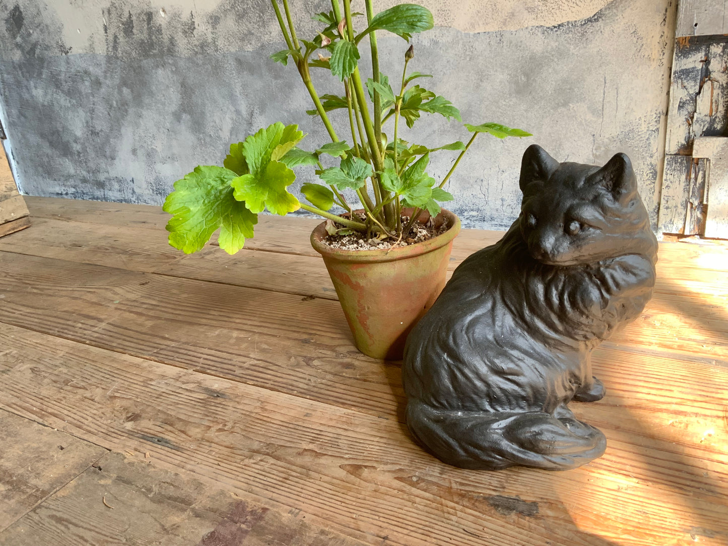 オブジェ　black cat