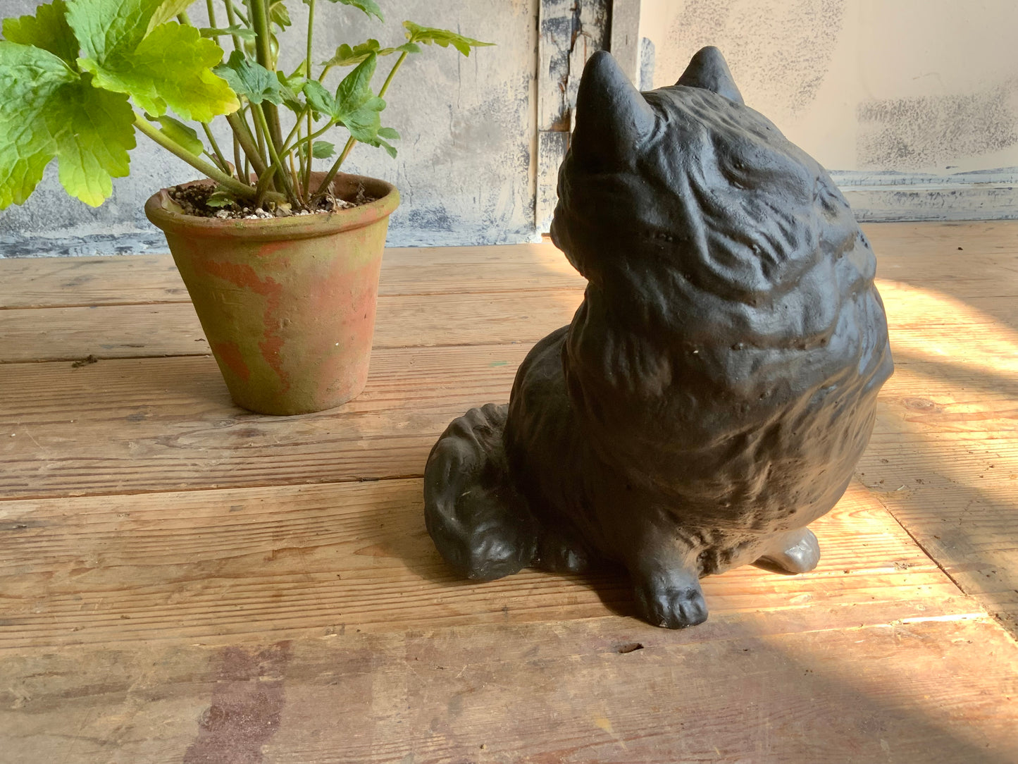 オブジェ　black cat