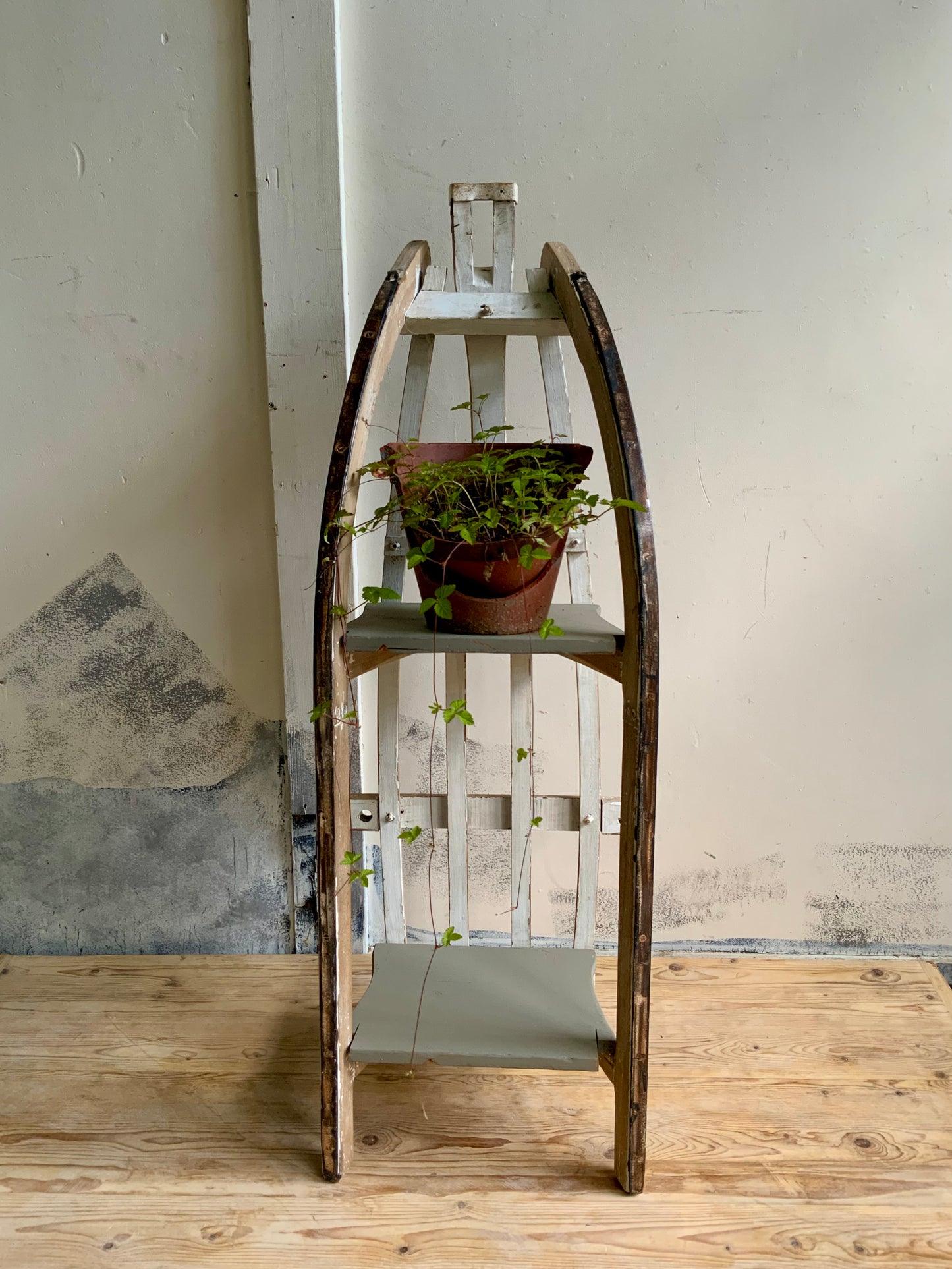 ソリのshelf　№1