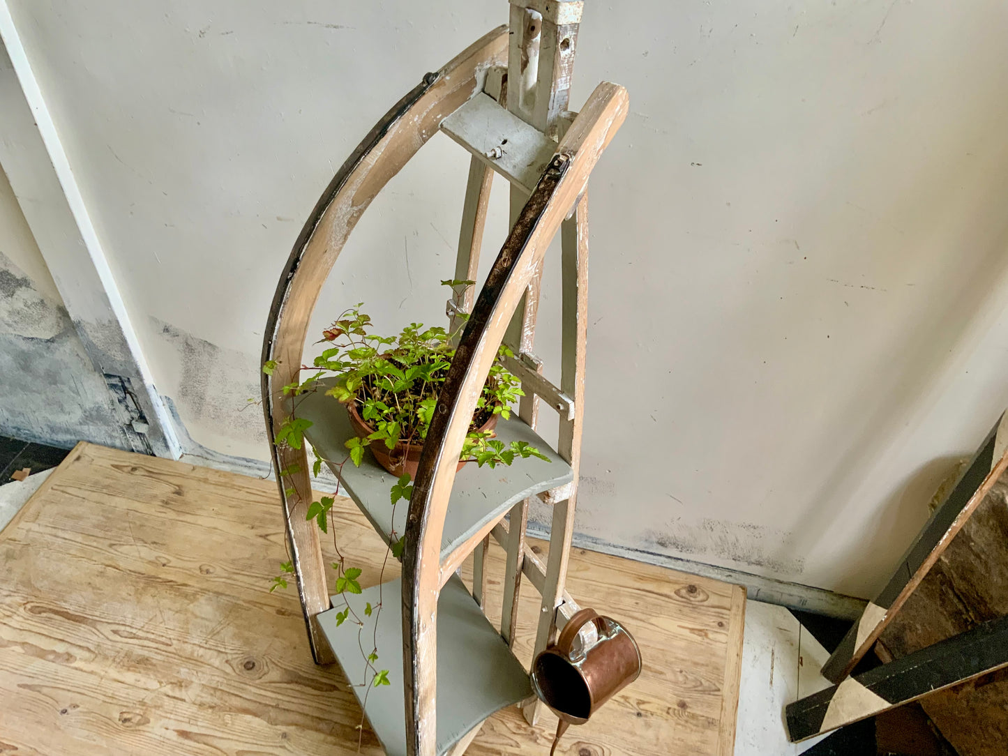 ソリのshelf　№1